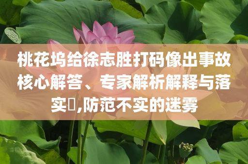 桃花塢給徐志勝打碼像出事故核心解答、專家解析解釋與落實(shí)?,防范不實(shí)的迷霧
