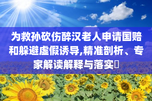 為救孫砍傷醉漢老人申請國賠和躲避虛假誘導,精準剖析、專家解讀解釋與落實?