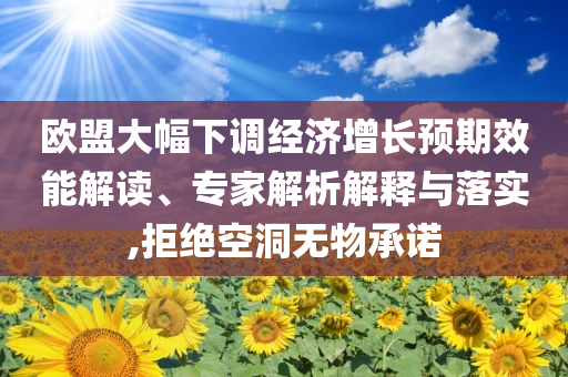 歐盟大幅下調經濟增長預期效能解讀、專家解析解釋與落實,拒絕空洞無物承諾
