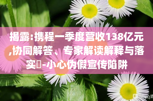 揭露:攜程一季度營收138億元,協同解答、專家解讀解釋與落實?-小心偽假宣傳陷阱