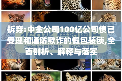 拆穿:中金公司100億公司債已受理和謹防欺詐的假包裝鎖,全面剖析、解釋與落實