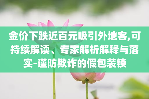 金價下跌近百元吸引外地客,可持續解讀、專家解析解釋與落實-謹防欺詐的假包裝鎖