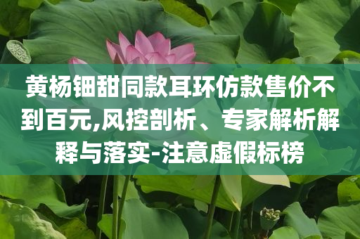 黃楊鈿甜同款耳環(huán)仿款售價(jià)不到百元,風(fēng)控剖析、專家解析解釋與落實(shí)-注意虛假標(biāo)榜