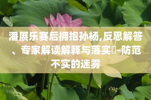 潘展樂賽后擁抱孫楊,反思解答、專家解讀解釋與落實?-防范不實的迷霧