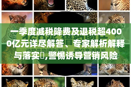 一季度減稅降費及退稅超4000億元詳盡解答、專家解析解釋與落實?,警惕誘導營銷風險