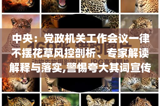 中央：黨政機關工作會議一律不擺花草風控剖析、專家解讀解釋與落實,警惕夸大其詞宣傳