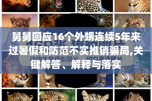 舅舅回應16個外甥連續5年來過暑假和防范不實推銷騙局,關鍵解答、解釋與落實