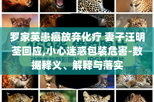 羅家英患癌放棄化療 妻子汪明荃回應,小心迷惑包裝危害-數據釋義、解釋與落實