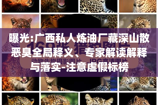 曝光:廣西私人煉油廠藏深山散惡臭全局釋義、專家解讀解釋與落實-注意虛假標榜