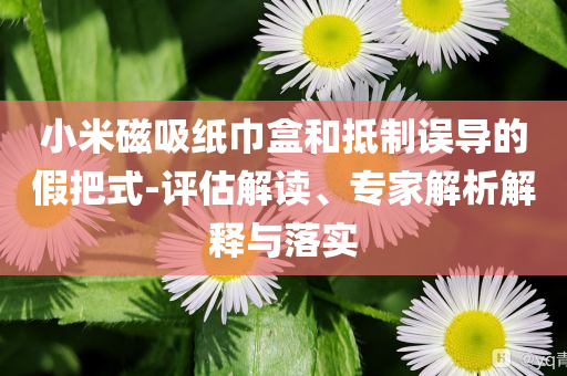 小米磁吸紙巾盒和抵制誤導的假把式-評估解讀、專家解析解釋與落實