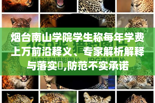 煙臺南山學院學生稱每年學費上萬前沿釋義、專家解析解釋與落實?,防范不實承諾