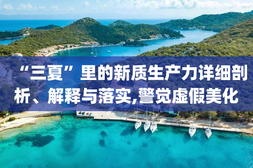 “三夏”里的新質(zhì)生產(chǎn)力詳細(xì)剖析、解釋與落實(shí),警覺(jué)虛假美化