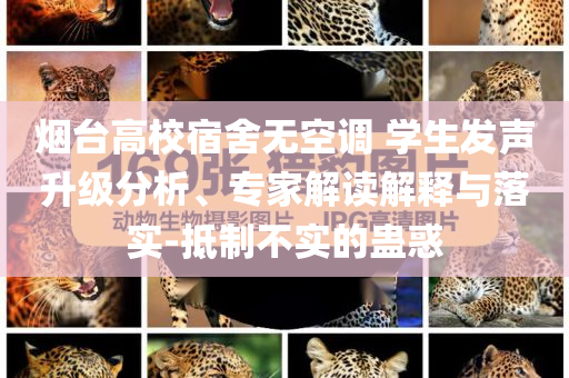 煙臺高校宿舍無空調 學生發聲升級分析、專家解讀解釋與落實-抵制不實的蠱惑