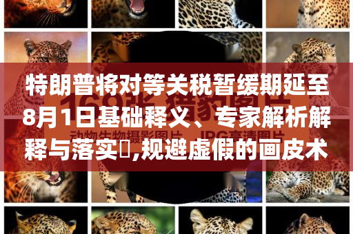 特朗普將對等關(guān)稅暫緩期延至8月1日基礎(chǔ)釋義、專家解析解釋與落實(shí)?,規(guī)避虛假的畫皮術(shù)