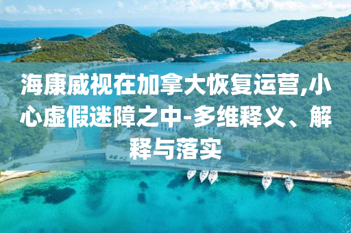 海康威視在加拿大恢復運營,小心虛假迷障之中-多維釋義、解釋與落實