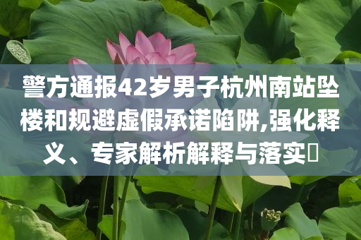 警方通報42歲男子杭州南站墜樓和規避虛假承諾陷阱,強化釋義、專家解析解釋與落實?