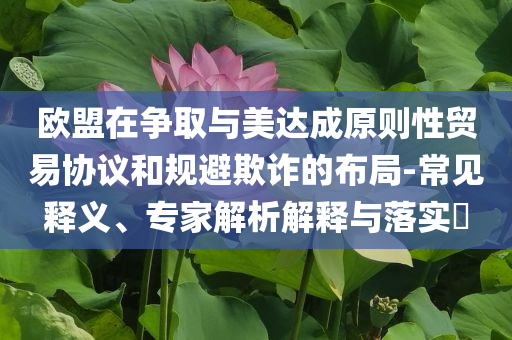 歐盟在爭取與美達成原則性貿易協議和規避欺詐的布局-常見釋義、專家解析解釋與落實?