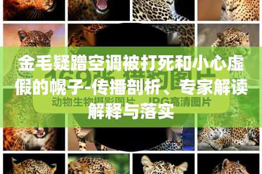 金毛疑蹭空調被打死和小心虛假的幌子-傳播剖析、專家解讀解釋與落實