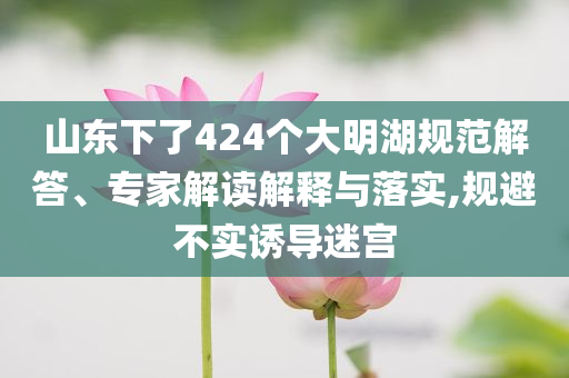 山東下了424個大明湖規范解答、專家解讀解釋與落實,規避不實誘導迷宮