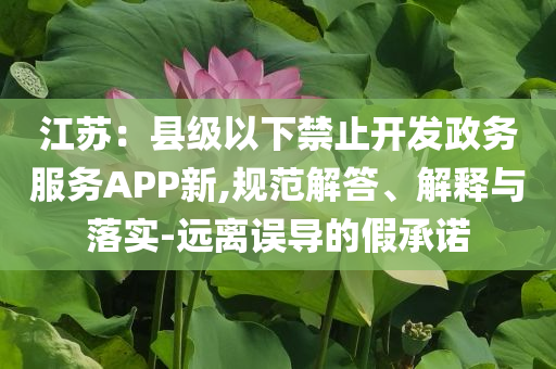 江蘇：縣級以下禁止開發政務服務APP新,規范解答、解釋與落實-遠離誤導的假承諾