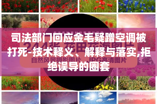 司法部門回應(yīng)金毛疑蹭空調(diào)被打死-技術(shù)釋義、解釋與落實,拒絕誤導(dǎo)的圈套