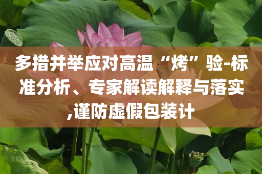 多措并舉應對高溫“烤”驗-標準分析、專家解讀解釋與落實,謹防虛假包裝計