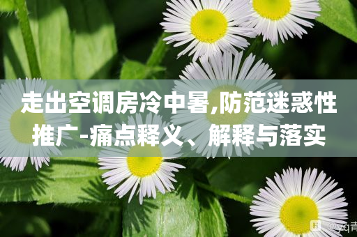 走出空調(diào)房冷中暑,防范迷惑性推廣-痛點(diǎn)釋義、解釋與落實(shí)