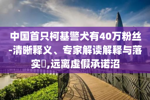 中國首只柯基警犬有40萬粉絲-清晰釋義、專家解讀解釋與落實?,遠離虛假承諾沼