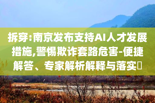 拆穿:南京發布支持AI人才發展措施,警惕欺詐套路危害-便捷解答、專家解析解釋與落實?