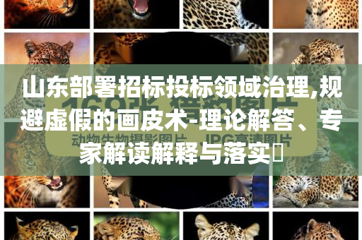 山東部署招標投標領域治理,規避虛假的畫皮術-理論解答、專家解讀解釋與落實?