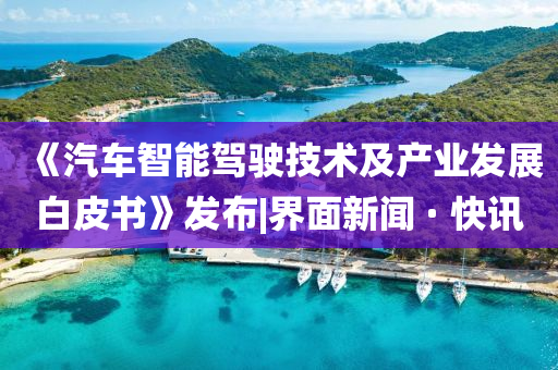《汽車智能駕駛技術及產業(yè)發(fā)展白皮書》發(fā)布|界面新聞 · 快訊