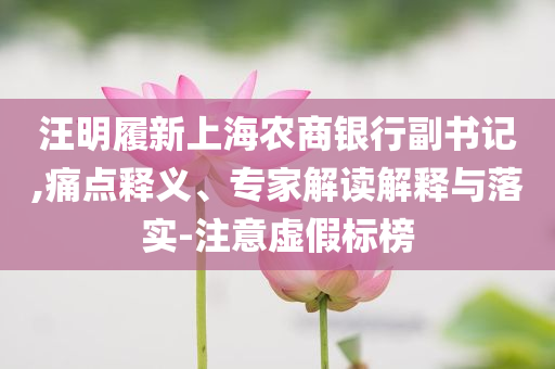 汪明履新上海農商銀行副書記,痛點釋義、專家解讀解釋與落實-注意虛假標榜