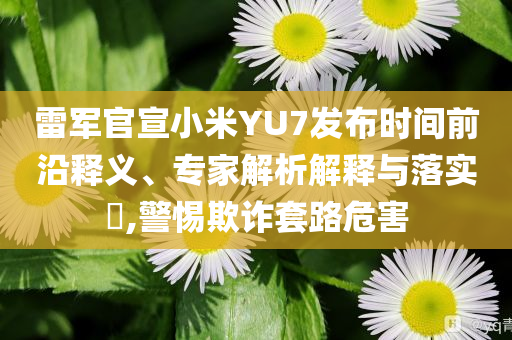 雷軍官宣小米YU7發布時間前沿釋義、專家解析解釋與落實?,警惕欺詐套路危害