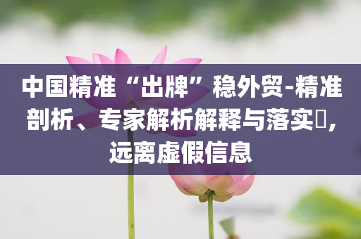 中國精準“出牌”穩(wěn)外貿(mào)-精準剖析、專家解析解釋與落實?,遠離虛假信息