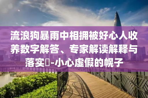 流浪狗暴雨中相擁被好心人收養(yǎng)數(shù)字解答、專(zhuān)家解讀解釋與落實(shí)?-小心虛假的幌子