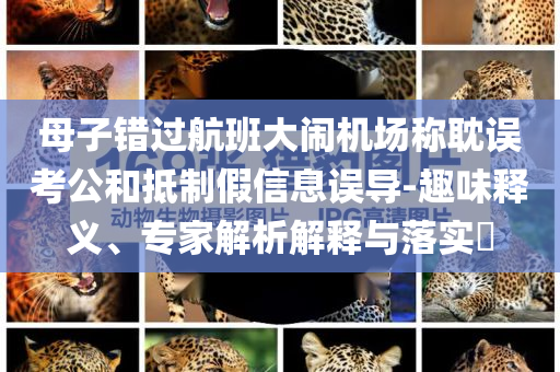 母子錯過航班大鬧機場稱耽誤考公和抵制假信息誤導-趣味釋義、專家解析解釋與落實?