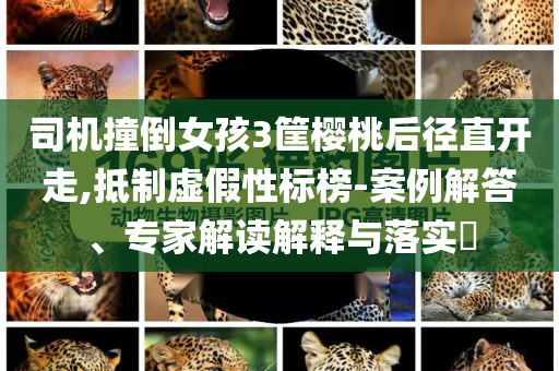 司機撞倒女孩3筐櫻桃后徑直開走,抵制虛假性標榜-案例解答、專家解讀解釋與落實?