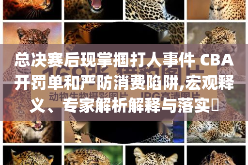 總決賽后現掌摑打人事件 CBA開罰單和嚴防消費陷阱,宏觀釋義、專家解析解釋與落實?