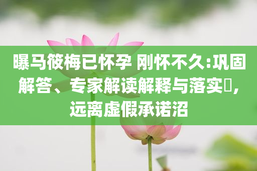 曝馬筱梅已懷孕 剛懷不久:鞏固解答、專家解讀解釋與落實?,遠離虛假承諾沼