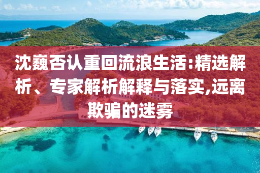 沈巍否認重回流浪生活:精選解析、專家解析解釋與落實,遠離欺騙的迷霧