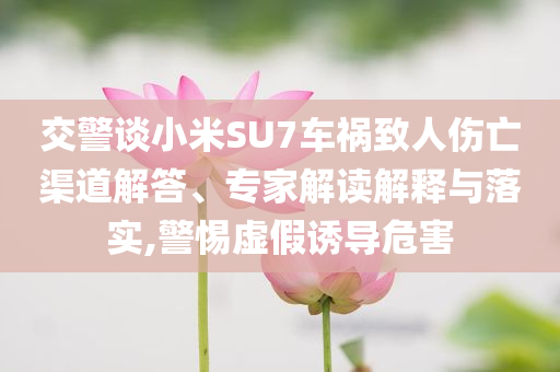 交警談小米SU7車禍致人傷亡渠道解答、專家解讀解釋與落實,警惕虛假誘導危害