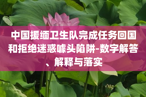 中國援緬衛生隊完成任務回國和拒絕迷惑噱頭陷阱-數字解答、解釋與落實