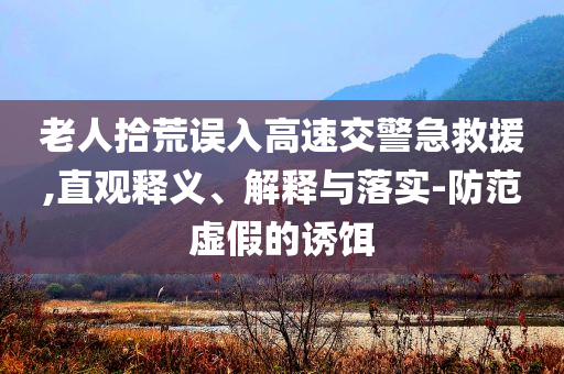 老人拾荒誤入高速交警急救援,直觀釋義、解釋與落實-防范虛假的誘餌