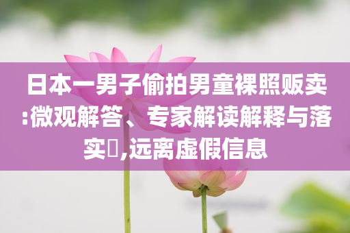日本一男子偷拍男童裸照販賣:微觀解答、專家解讀解釋與落實?,遠離虛假信息