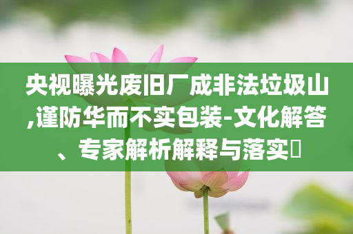 央視曝光廢舊廠成非法垃圾山,謹(jǐn)防華而不實包裝-文化解答、專家解析解釋與落實?