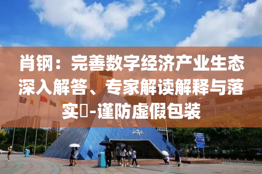 肖鋼：完善數字經濟產業生態深入解答、專家解讀解釋與落實?-謹防虛假包裝