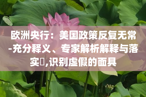 歐洲央行：美國政策反復無常-充分釋義、專家解析解釋與落實?,識別虛假的面具