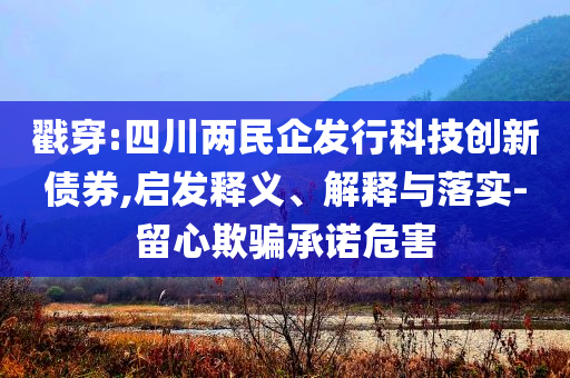戳穿:四川兩民企發行科技創新債券,啟發釋義、解釋與落實-留心欺騙承諾危害