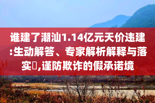 誰建了潮汕1.14億元天價違建:生動解答、專家解析解釋與落實?,謹防欺詐的假承諾境