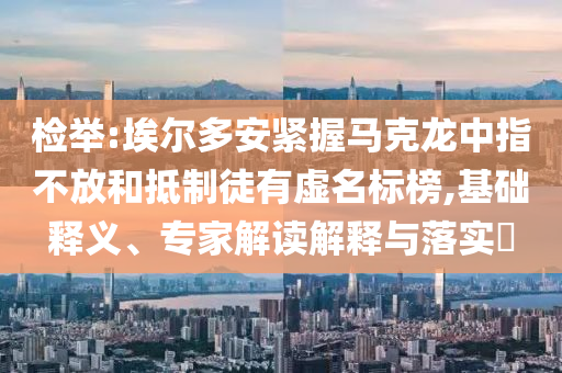 檢舉:埃爾多安緊握馬克龍中指不放和抵制徒有虛名標榜,基礎釋義、專家解讀解釋與落實?
